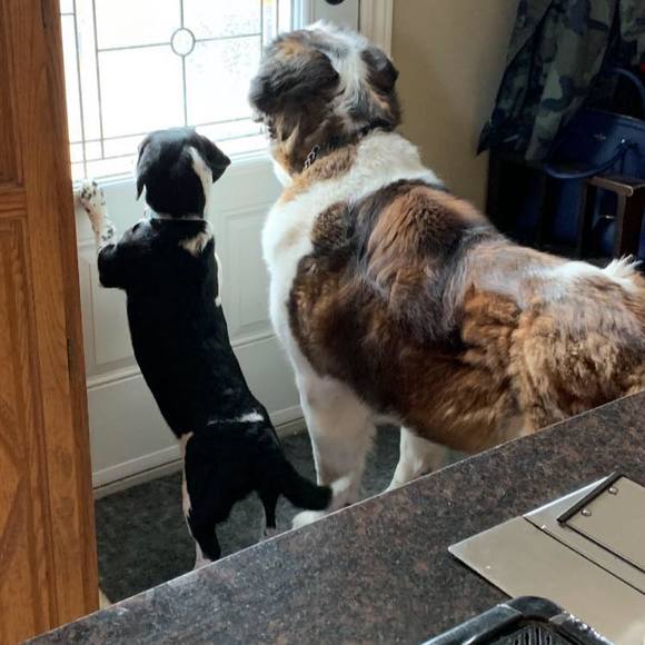 Meet your Posher, Cindy - Picture 1 of 1